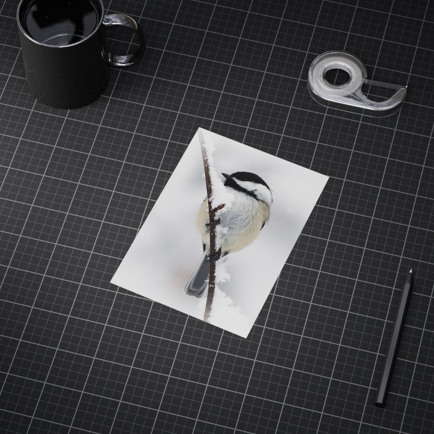 Black-capped Chickadee - 5x7 Prints