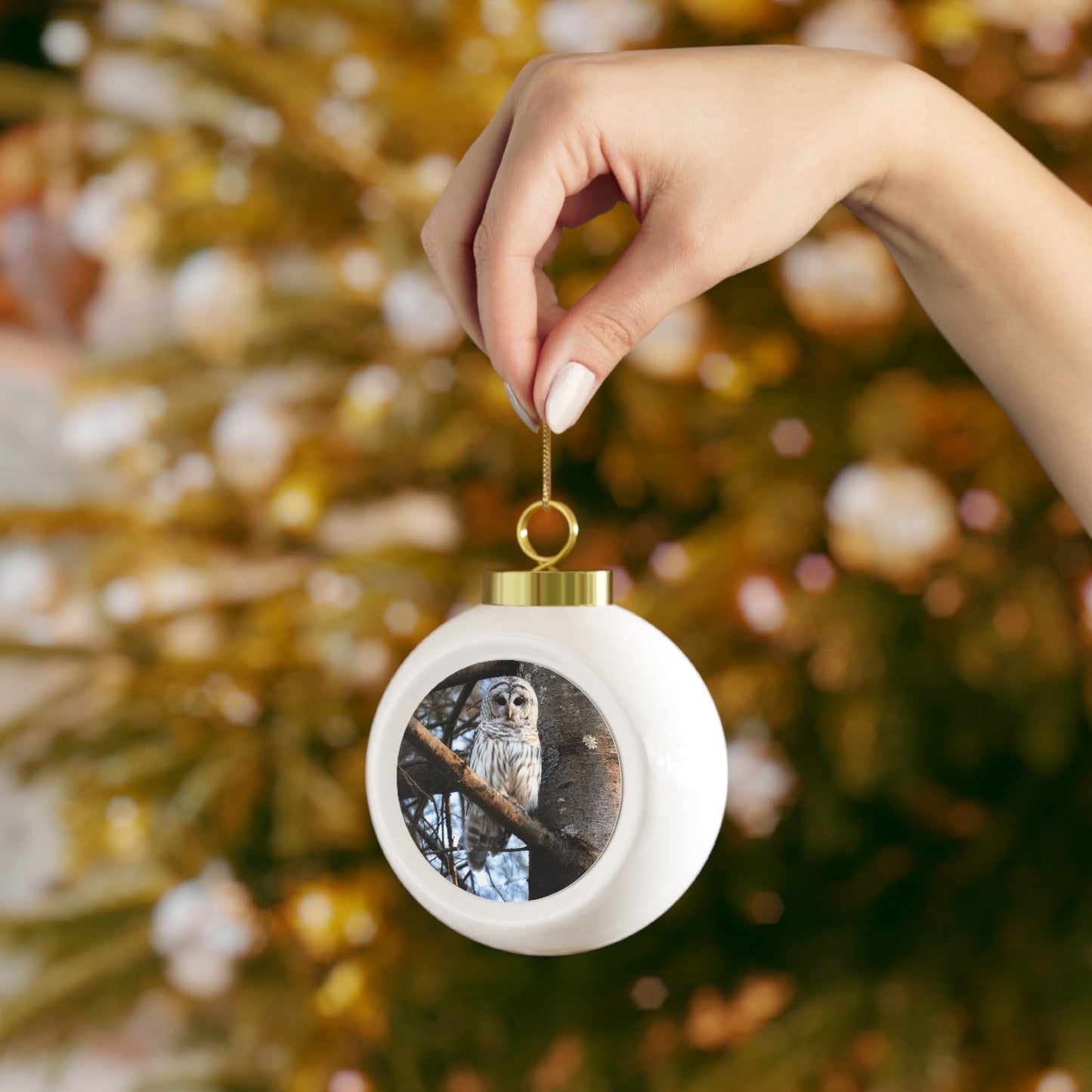 Barred Owl - Christmas Ball Ornament