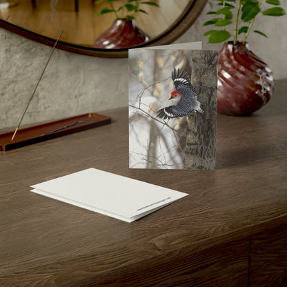 Red-bellied woodpecker - Greeting Cards (1, 10, 30, and 50pcs)
