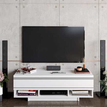 Celestia 47" TV Stand and Media Console with Cabinets and Open Shelves