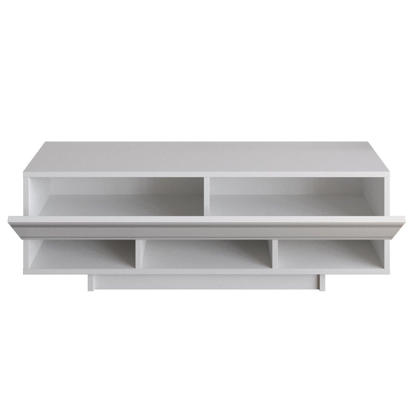 Celestia 47" TV Stand and Media Console with Cabinets and Open Shelves