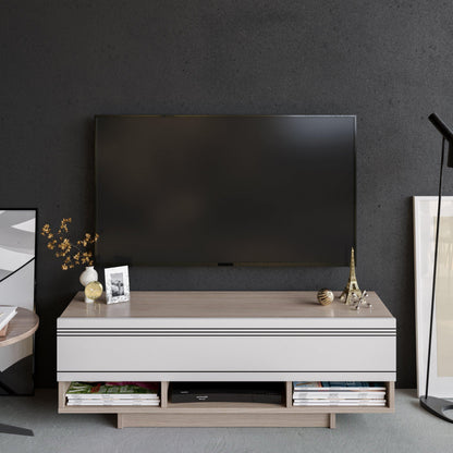 Celestia 47" TV Stand and Media Console with Cabinets and Open Shelves