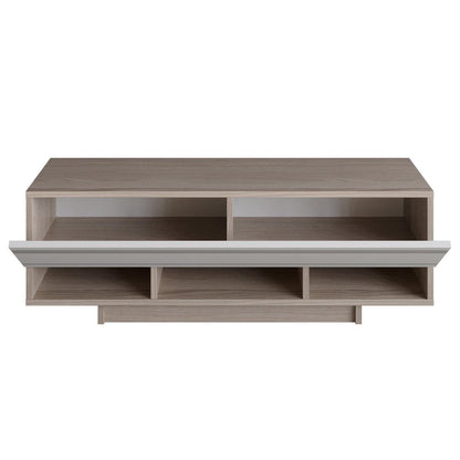 Celestia 47" TV Stand and Media Console with Cabinets and Open Shelves