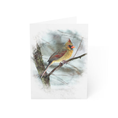 Norther Cardinal Female Painterly - Greeting Cards (1, 10, 30, and 50pcs)