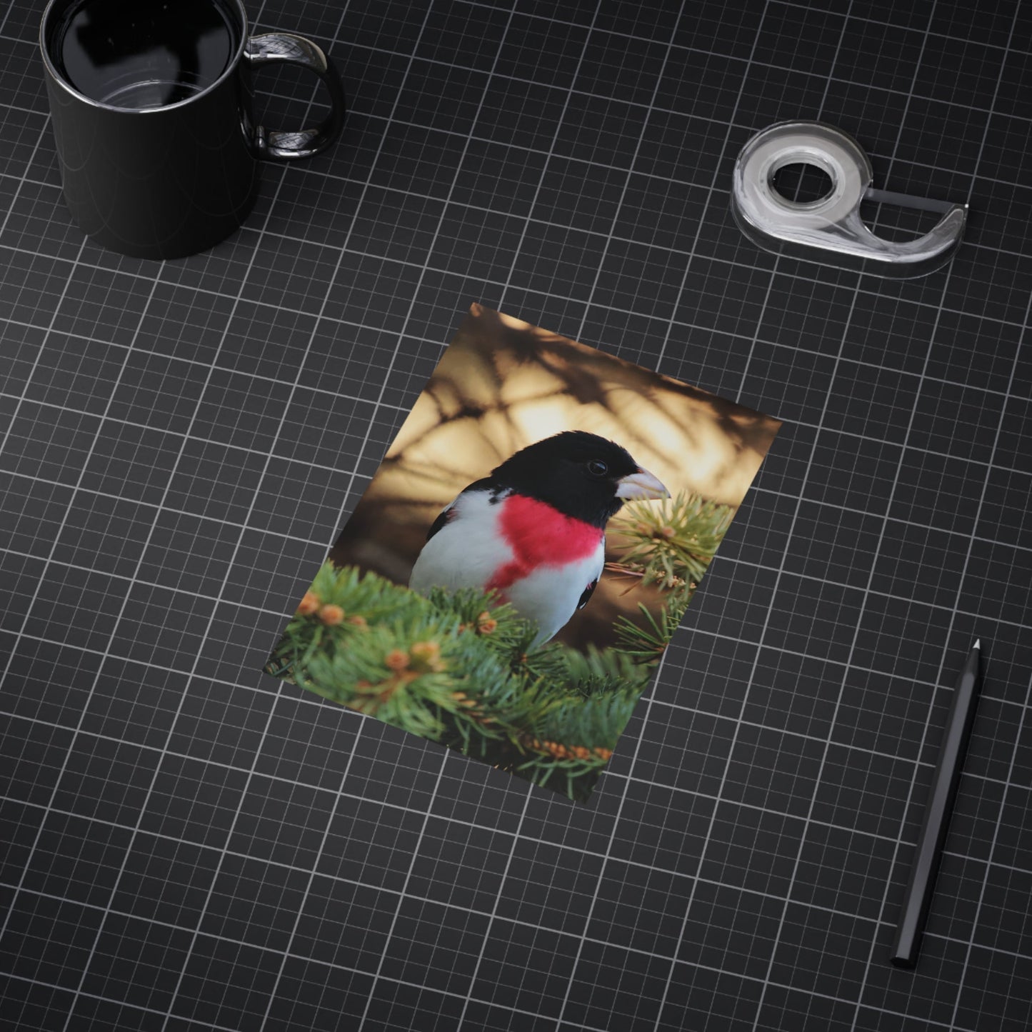 Rose-breasted Grosbeak - 5x7 Prints