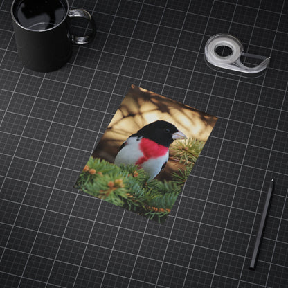 Rose-breasted Grosbeak - 5x7 Prints