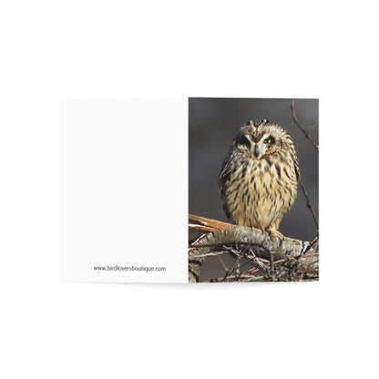 Short-eared Owl - Greeting Cards (1, 10, 30, and 50pcs)