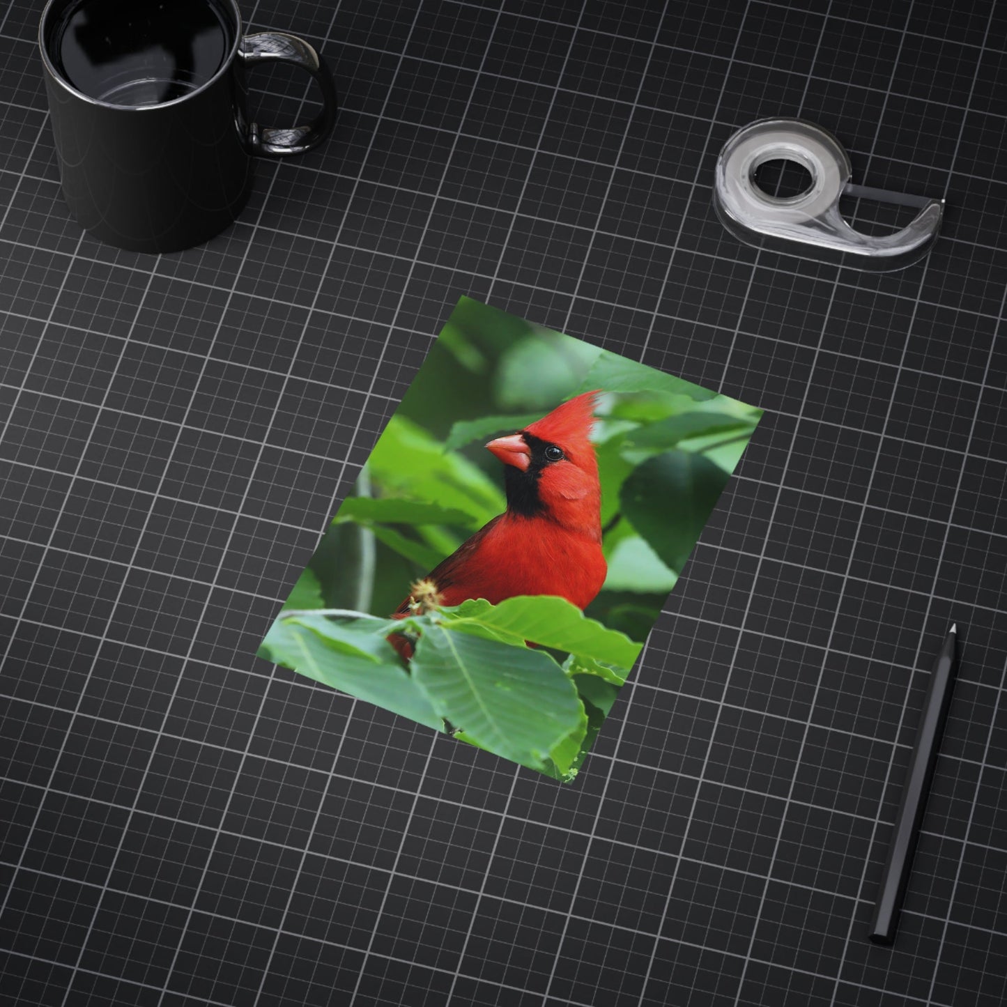 Cardinal - 5x7 Prints