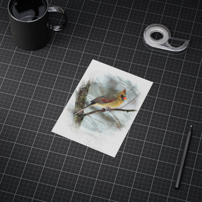 Norther Cardinal Female Painterly - 5x7 Prints