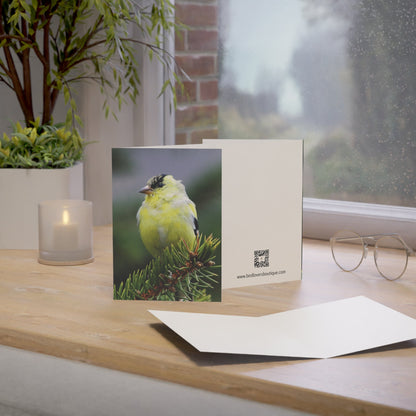 Goldfinch - Greeting Cards (1, 10, 30, and 50pcs)