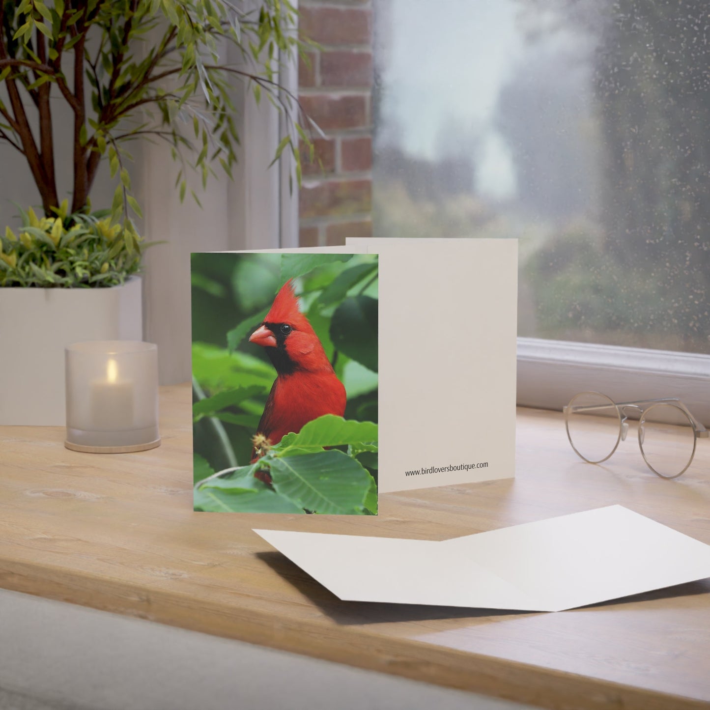Cardinal - Greeting Cards (1, 10, 30, and 50pcs)