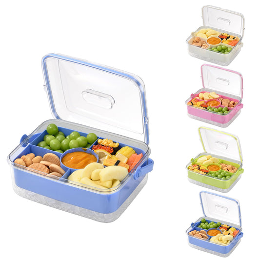 Hegrish Fruit Ice Serving Tray Clear Light Blue 4 Compartments with Lid