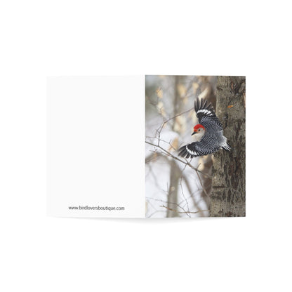 Red-bellied woodpecker - Greeting Cards (1, 10, 30, and 50pcs)