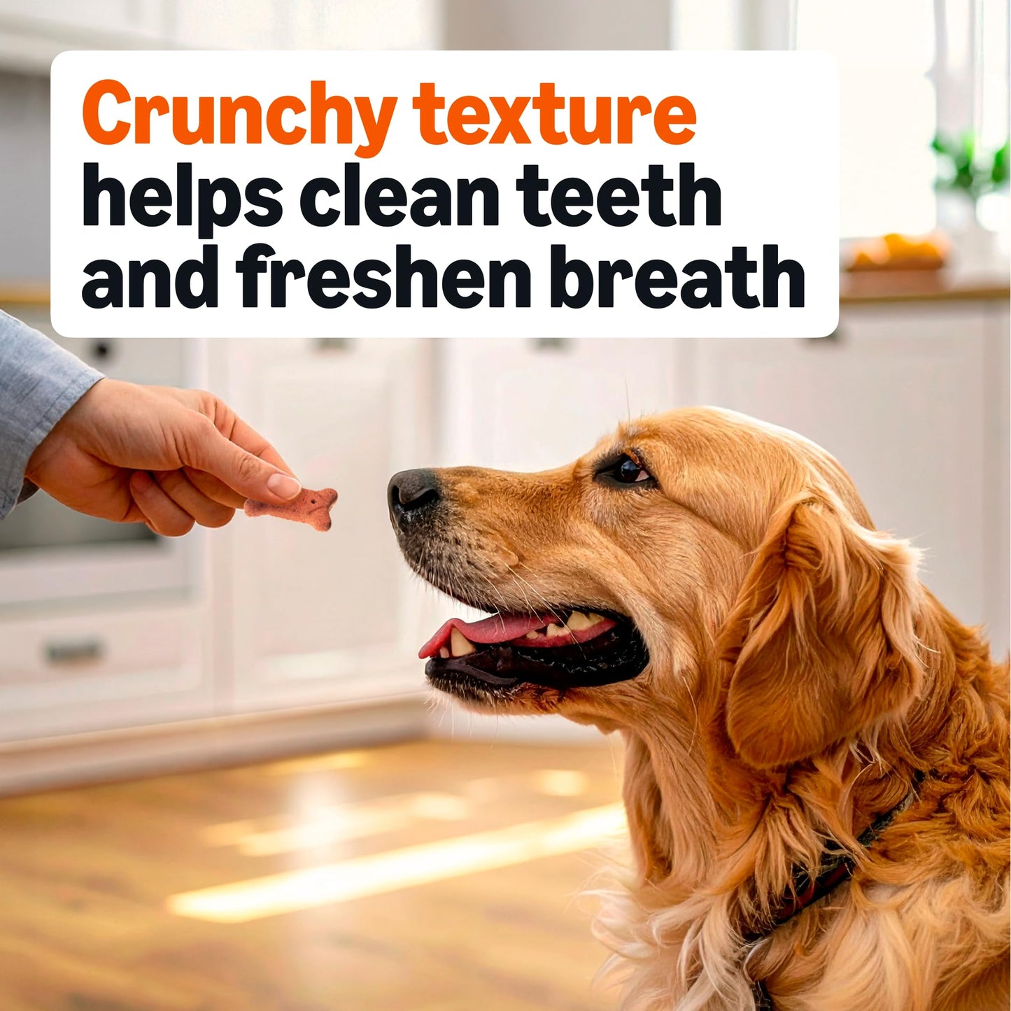 Amazon Basics Crunchy Dog Biscuits Multi Flavor 5 lb Box