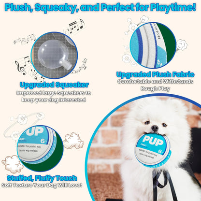 PUP6 PUP Pouch Plush Squeaky Durable Interactive Dog Chew Toy Plush