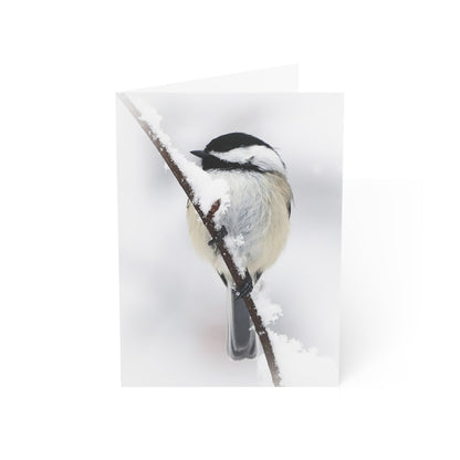 Black-capped Chickadee - Greeting Cards (1, 10, 30, and 50pcs)