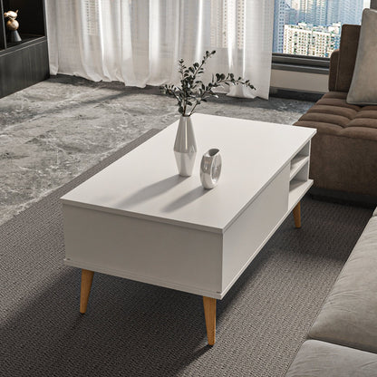 Como 47" Modern Coffee Table with Hidden Compartment and Open Shelves