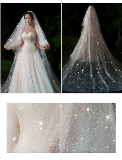 Bride Wedding Long Big Tailing Veil
