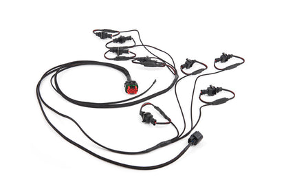 ProFlex Commander for 2003-06 Pontiac GTO