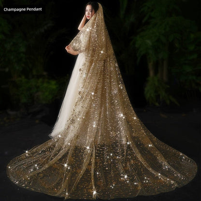 Bride Wedding Long Big Tailing Veil