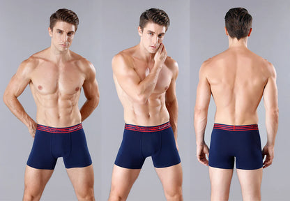 4Pcs Men's Cotton Underpants Sexy Boxers