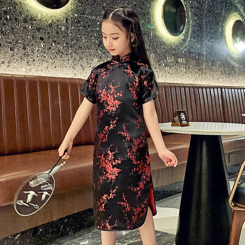 Traditional Chinese Girl Dress