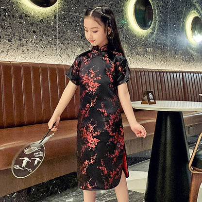 Traditional Chinese Girl Dress