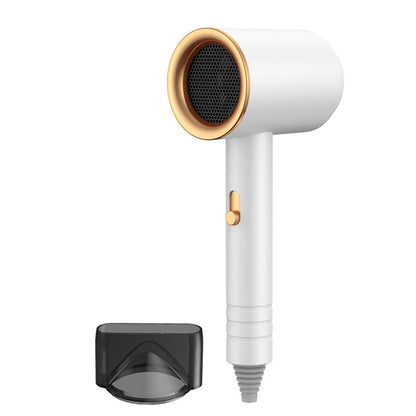 Professional High-Speed Hair Dryer 800W High-Power Negative Ion Ultra Silent For Home Hair Salons