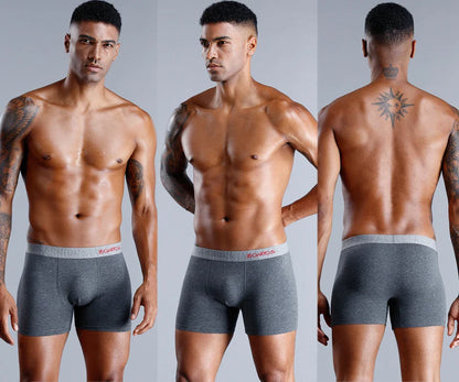 4Pcs Men's Cotton Underpants Sexy Boxers