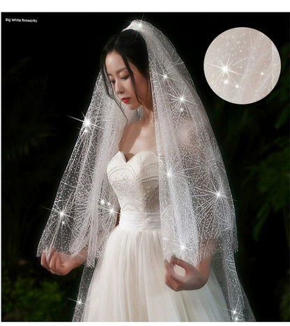 Bride Wedding Long Big Tailing Veil