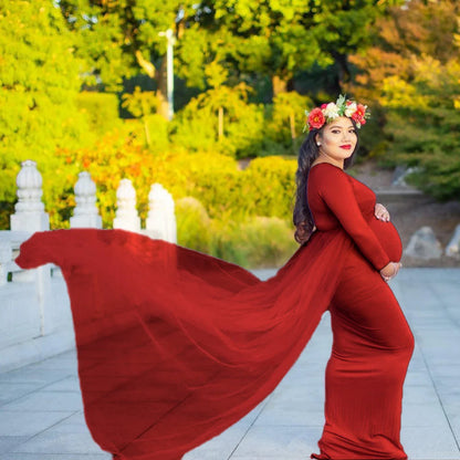 Maternity Long Sleeved Floor Length Mesh Dress