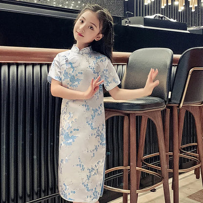 Traditional Chinese Girl Dress