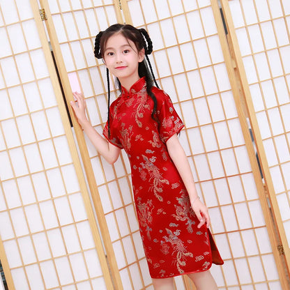 Traditional Chinese Girl Dress
