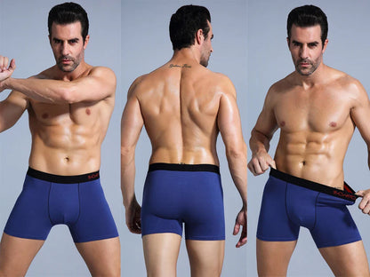 5Pcs Men's Cotton Underwear Short Boxers