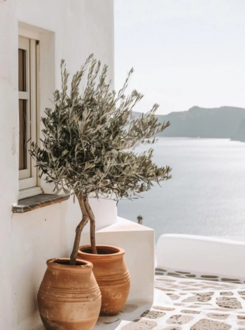 Greece Landscape Posters Prints Canvas