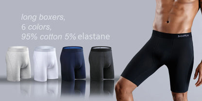 4Pcs Men's Cotton Underpants Sexy Boxers