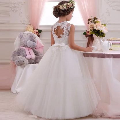 Flower Girl Dress for Wedding or Communion See Through Beaded Puffy