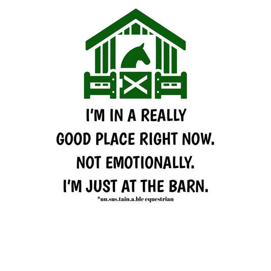 Die Cut Vinyl Stickers - 3x3 - Emotionally Good Place