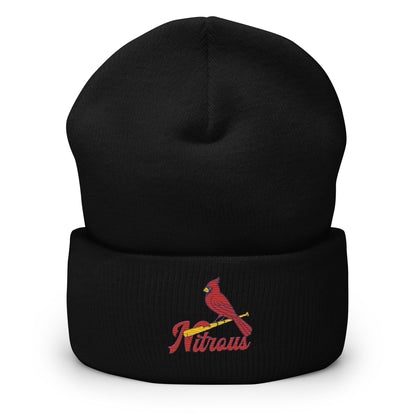 The Revbirds Parody Beanie