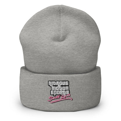 St. Louis Vice Parody Beanie