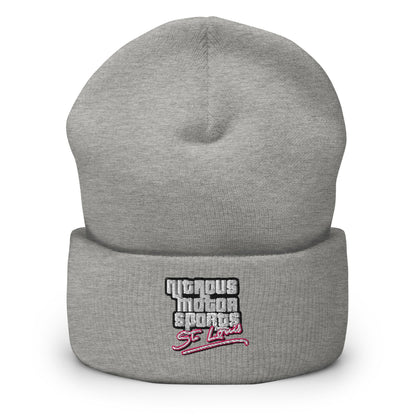St. Louis Vice Parody Beanie