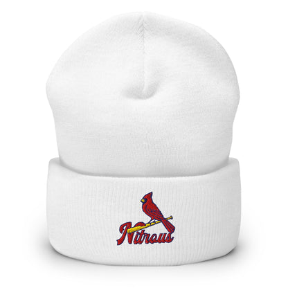 The Revbirds Parody Beanie