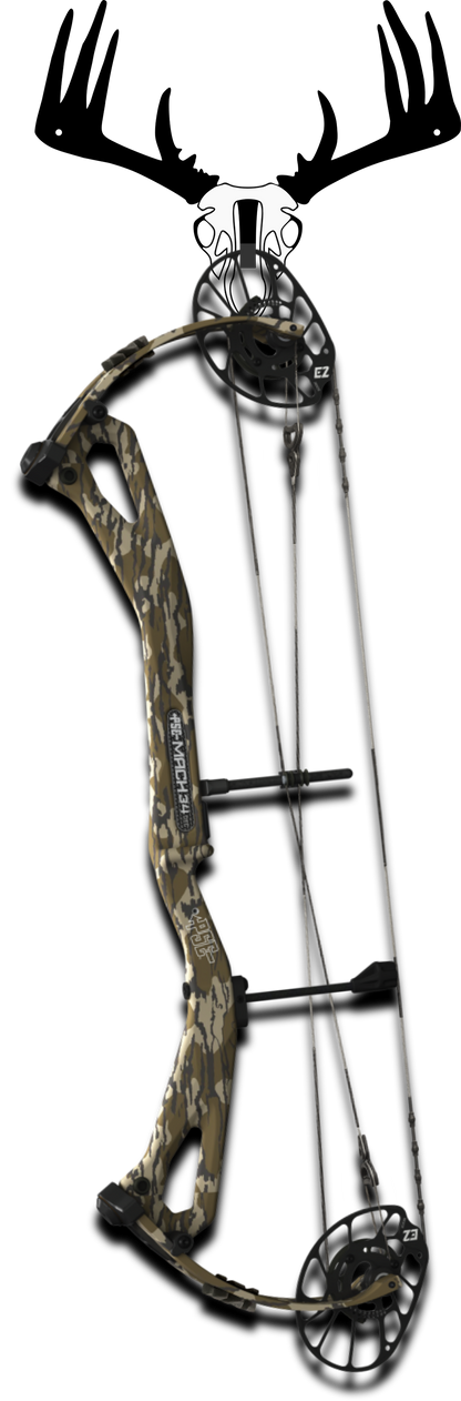 Single Whitetail