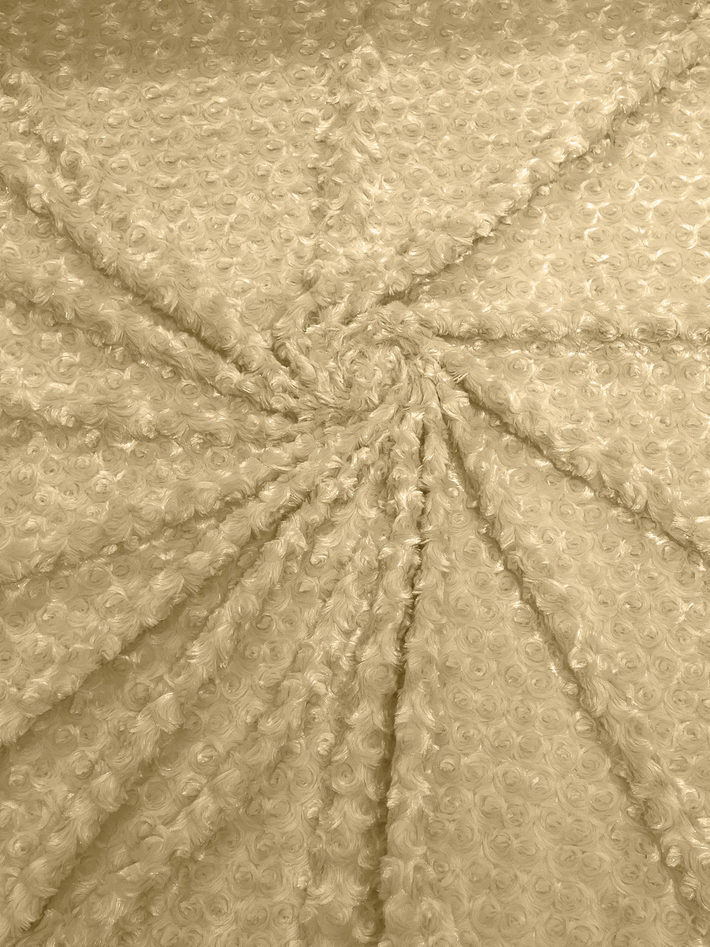 Minky Rosebud 58" Wide | New Creation Fabric & Foam Inc.