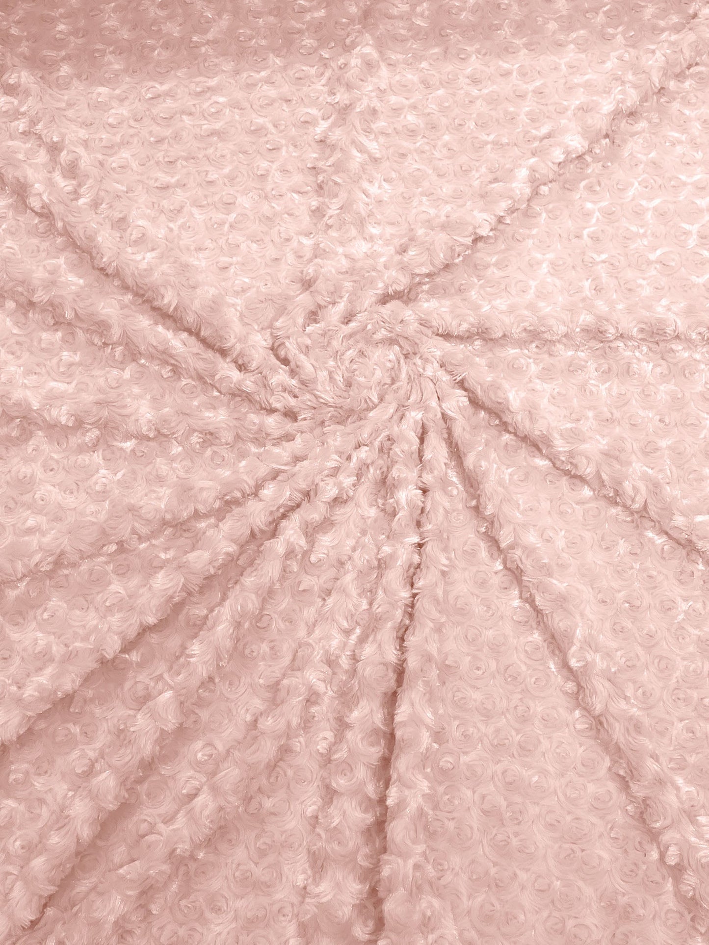 Minky Rosebud 58" Wide | New Creation Fabric & Foam Inc.
