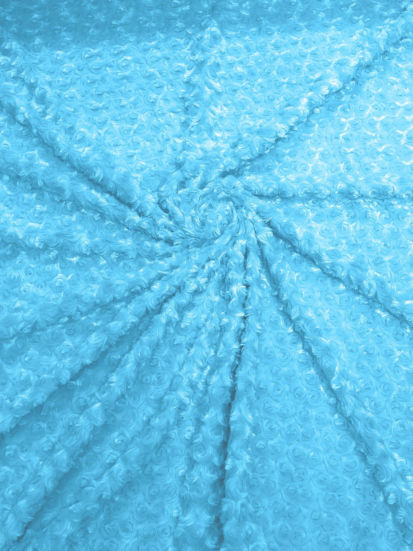 Minky Rosebud 58" Wide | New Creation Fabric & Foam Inc.