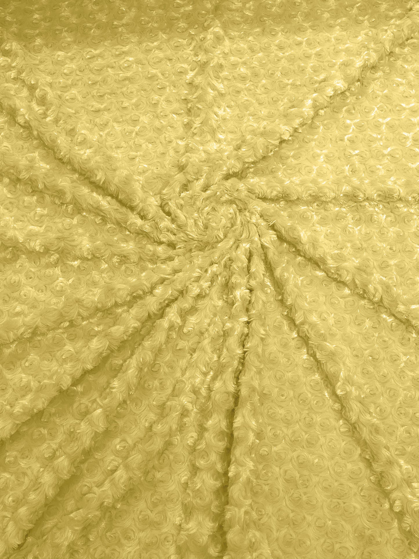 Minky Rosebud 58" Wide | New Creation Fabric & Foam Inc.