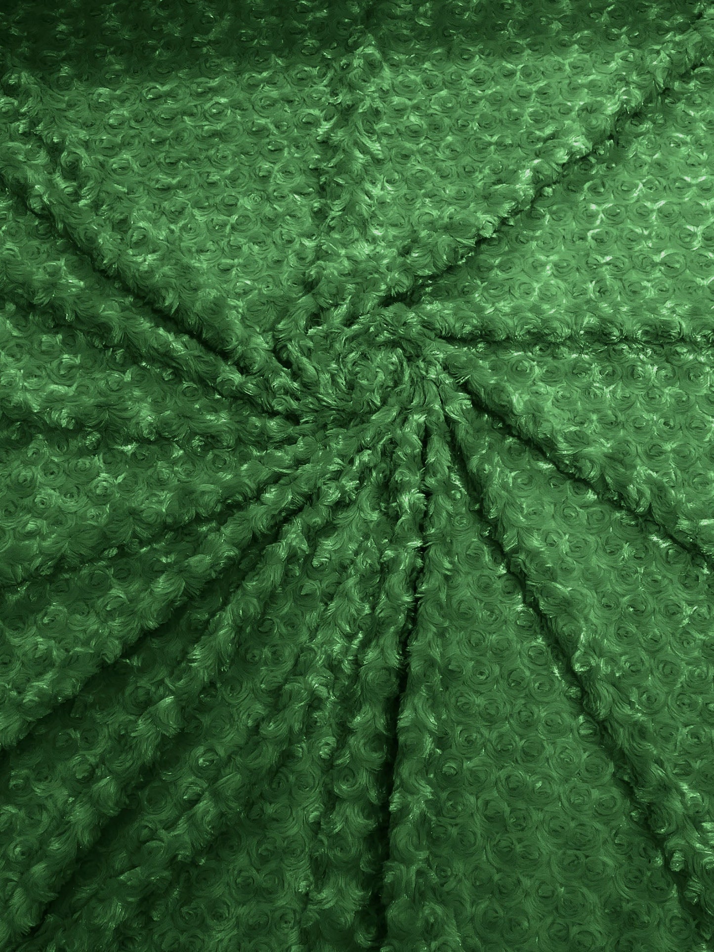 Minky Rosebud 58" Wide | New Creation Fabric & Foam Inc.