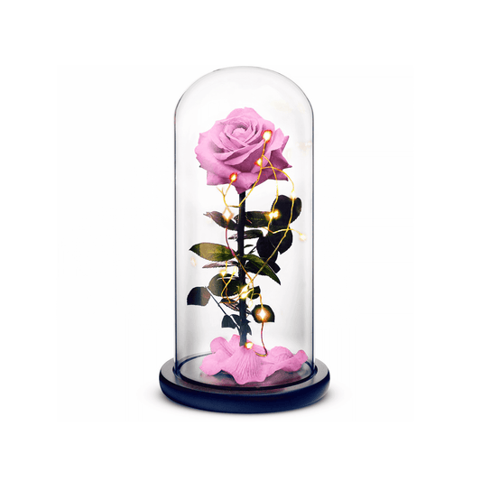 Beauty and The Beast Rose (Pink)