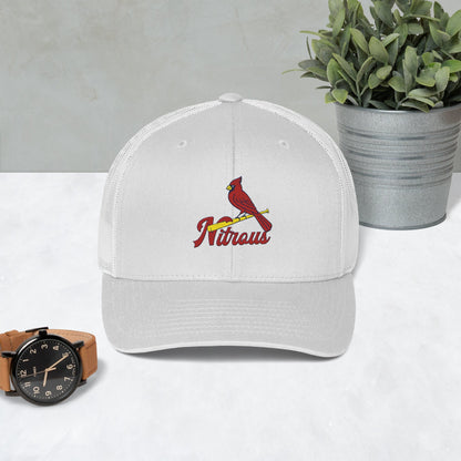 The Revbirds Parody Hat